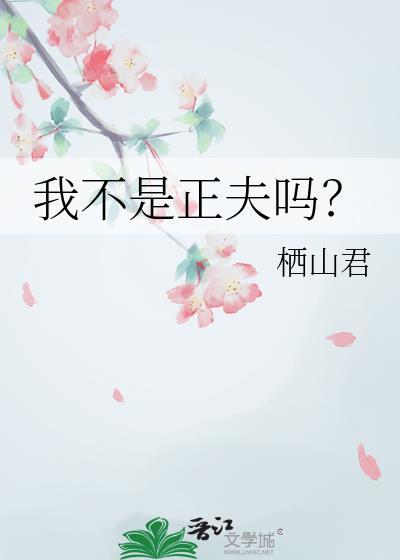 我不是正夫吗TXT