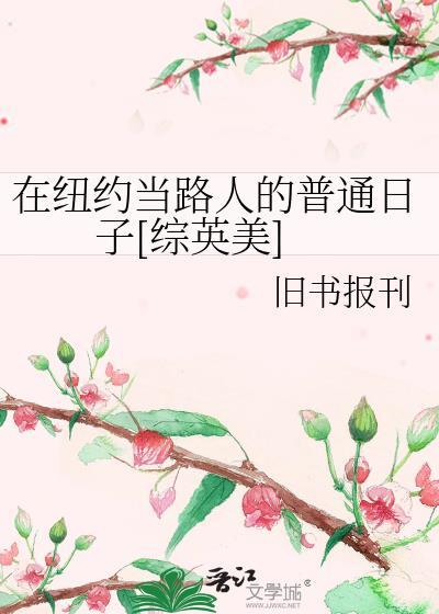 在纽约游荡英语翻译