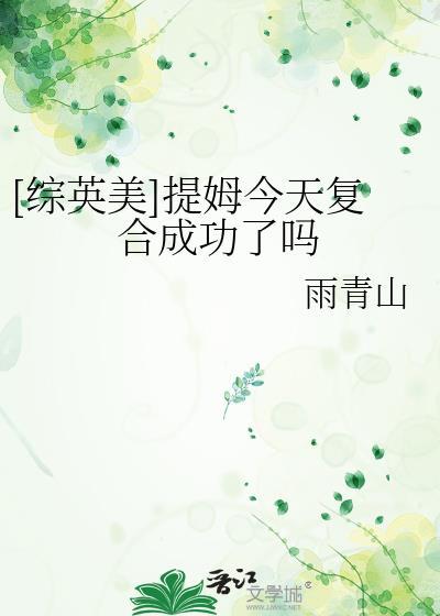提姆成为