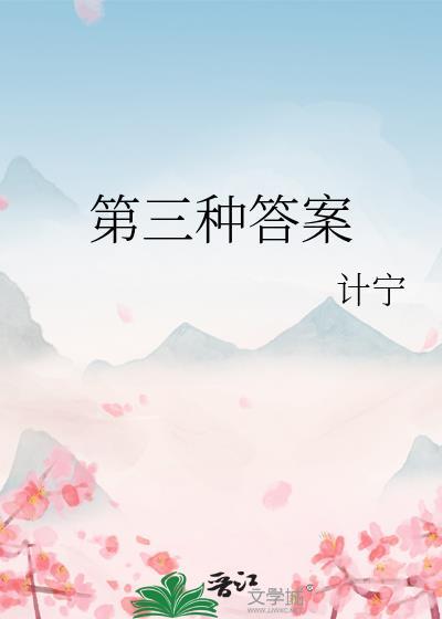 第三种答案计宁