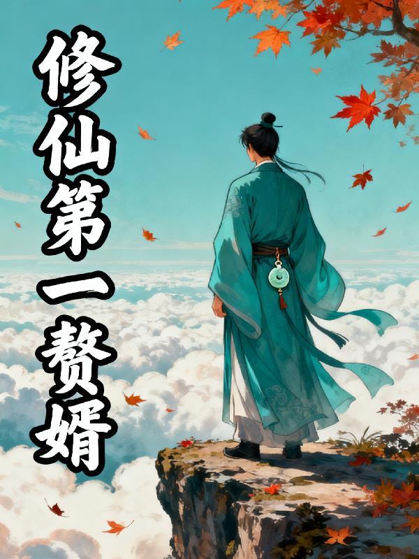 第一赘婿修为等级
