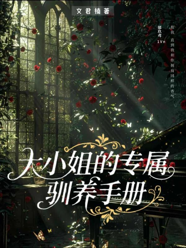 大小姐n