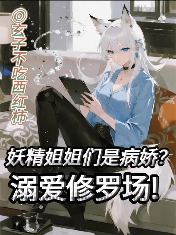 妖精大姐动画片
