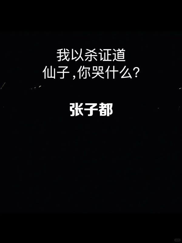 以杀证道书包网