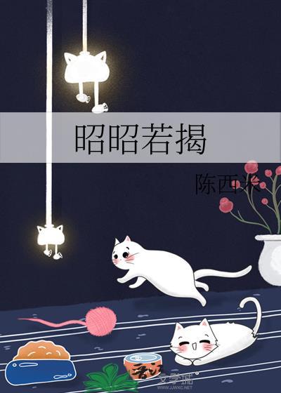 昭昭若揭txt