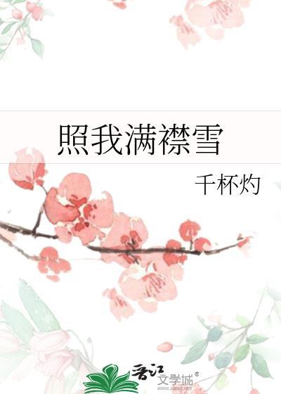 照我满襟雪千杯灼txt