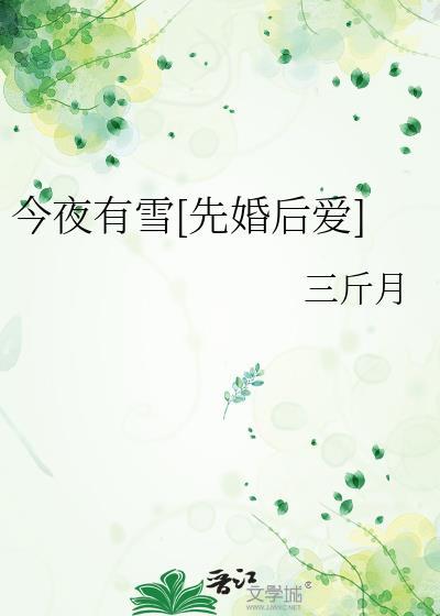 今夜有雪[先婚后爱