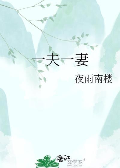 一夫一妻的皇上叫什么