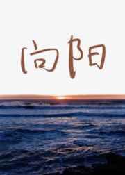 向阳素描