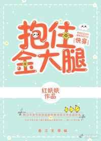 抱住我崩溃的大脑在线阅读
