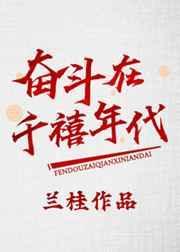 奋斗在80年代gl