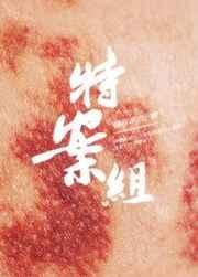 特殊案件调查组VITXT