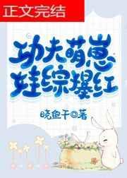 功夫萌宝免费阅读