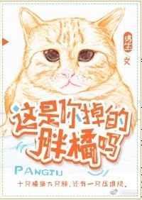 这是你掉的胖橘吗番外