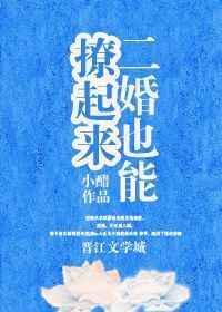二婚