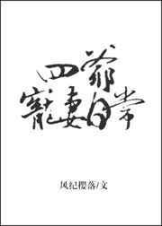 四爷的宠妃免费阅读