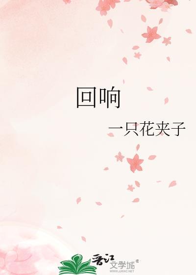 回响剧情介绍