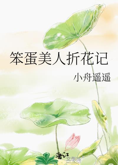 笨蛋美人折花记无弹窗 顶点