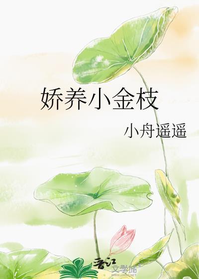 娇养小金枝TXT百度附带番外