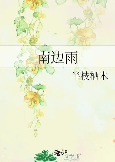 南边雨TXT百度