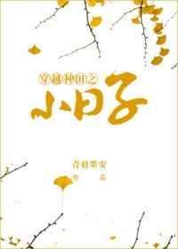 穿越种田之小日子txt书包