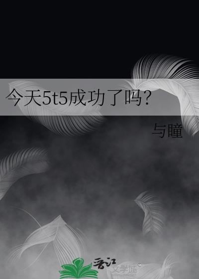 今天5t5成功了吗?txt