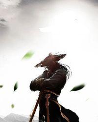 被迫成为限制文主角后