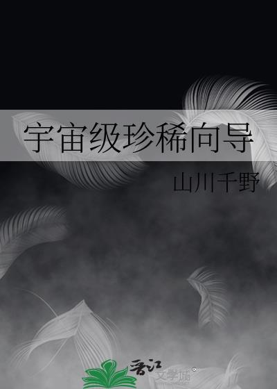 宇宙级珍稀向导